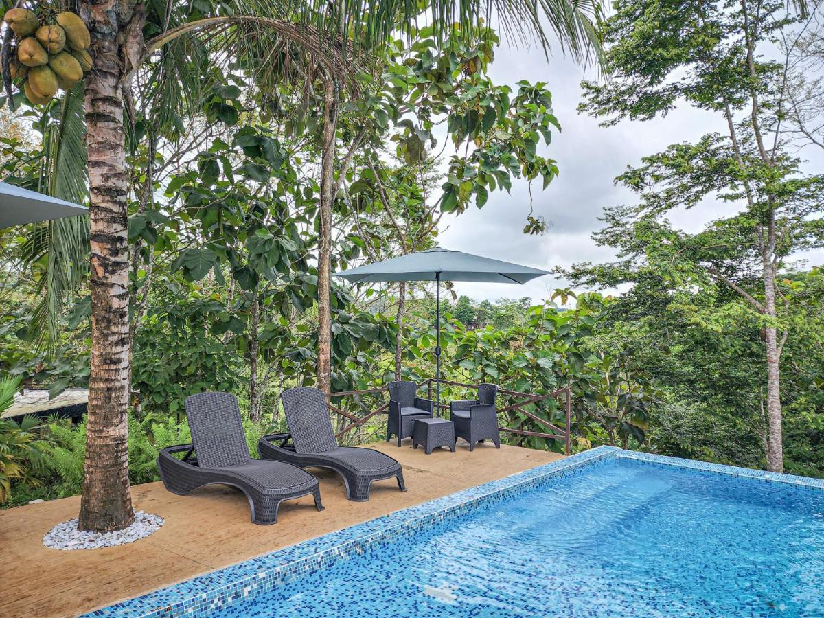 Hotel Madeira Boutique Дорадаль Экстерьер фото